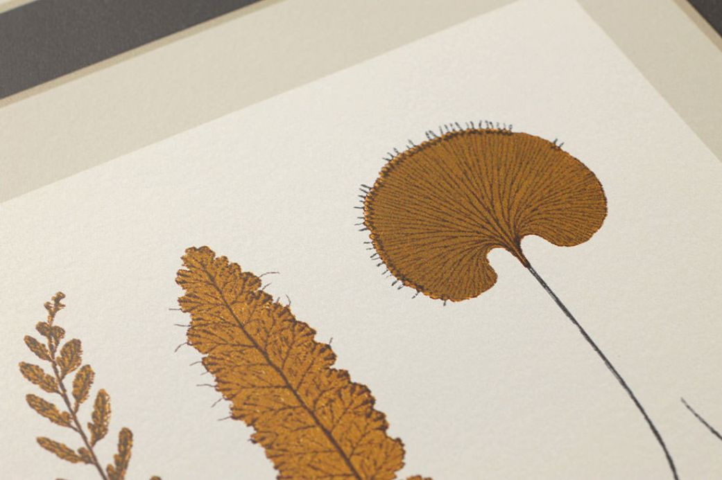 Carta da parati botanica Carta da parati Sitka beige grigiastro pallido Visuale dettaglio