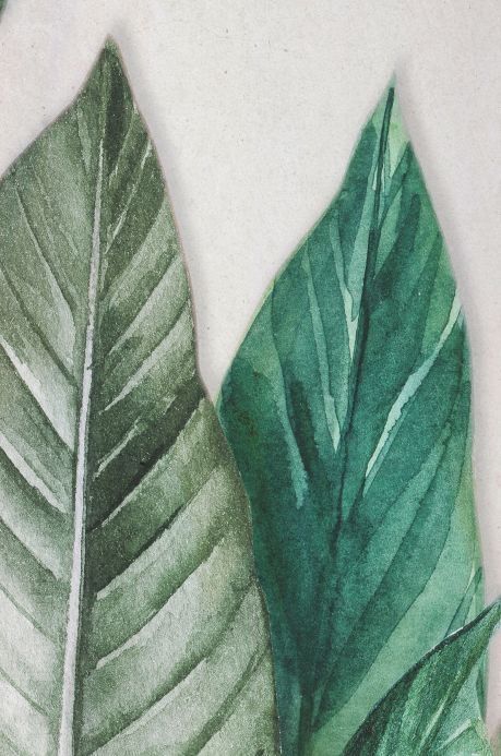 Papier peint crème Photo murale Amazonas tons de vert Largeur de lé