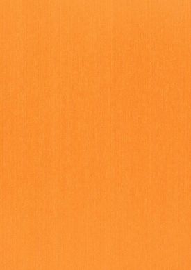 Warp Beauty 02 Orange Muster