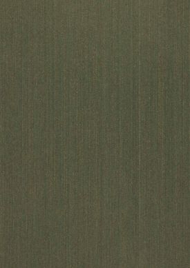 Wallpaper Warp Beauty 11 olive green | Wallpaper from the 70s