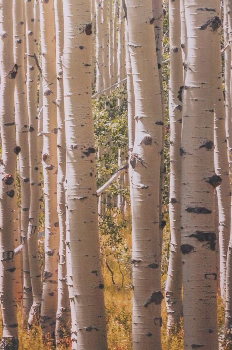 Papel pintado Fotomural Forest tonos de gris Ancho rollo
