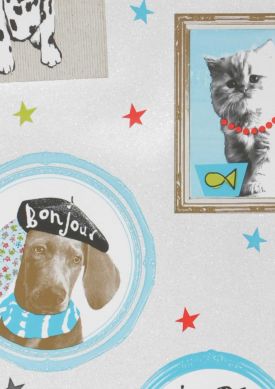 Dogs and Cats blu turchese Mostra