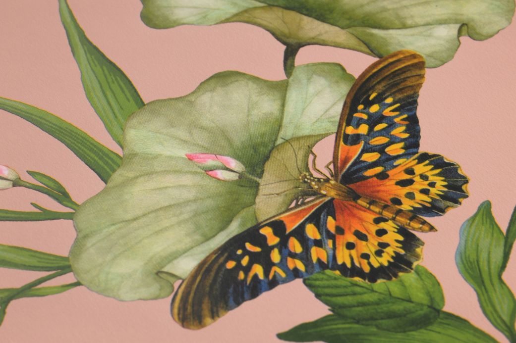Butterfly Wallpaper Wallpaper Sensu pale pink Detail View