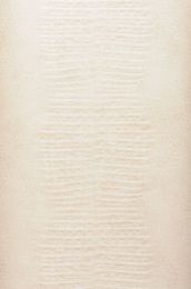 Papier peint Gavial blanc crème