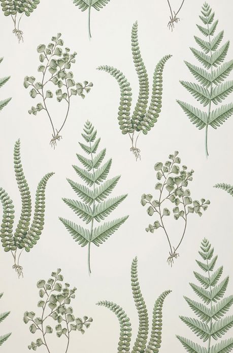 Papel de parede botânico Papel de parede Natali verde escuro Largura do rolo