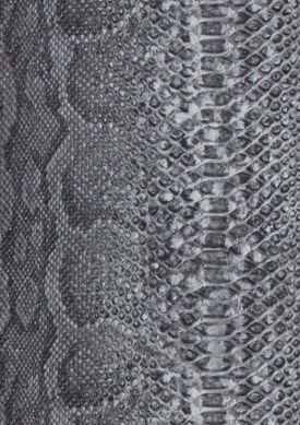 Anaconda grigio chiaro Mostra