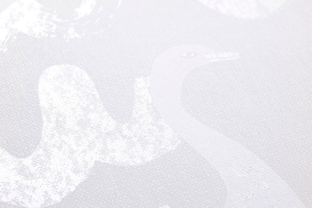 Archiv Wallpaper Swan Rain Dance grey white Detail View