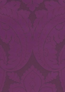 Nemesis violeta lustre Muestra