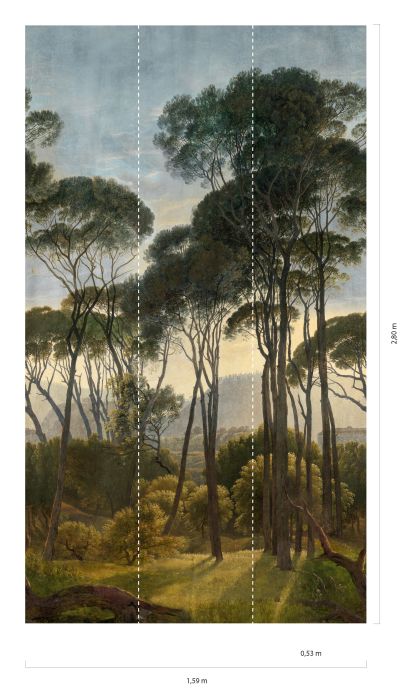 Carta da parati tessuto non tessuto Fotomurale Pine Trees toni di verde Visuale dettaglio