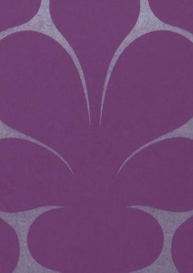 Velusa violeta Muestra