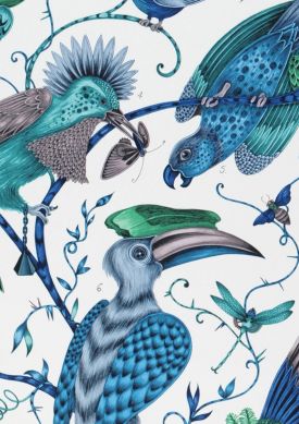 Audubon blu turchese Mostra