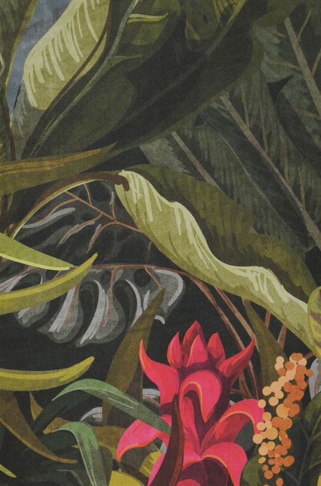 Papier peint avec des feuilles et du feuillage Photo murale Borneo tons de vert Largeur de lé