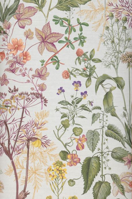 Botanical Wallpaper Wallpaper Evia cream Roll Width