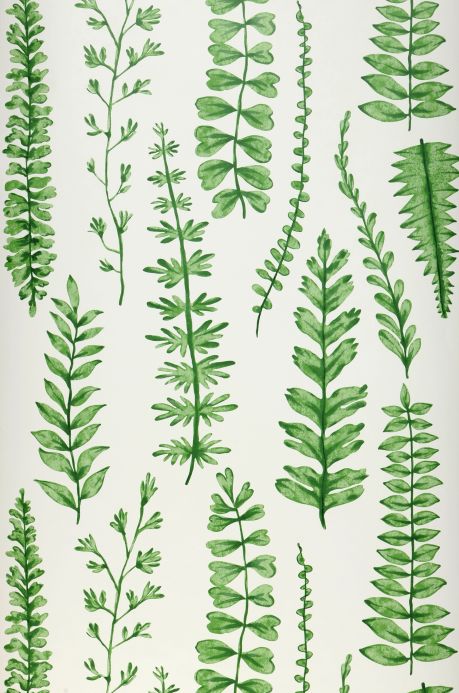 Papel pintado botánico Papel pintado Tenali tonos de verde Ancho rollo