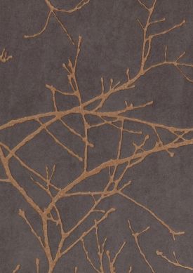 Kansai brun gris L’échantillon