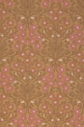 Wallpaper Pelage brown beige