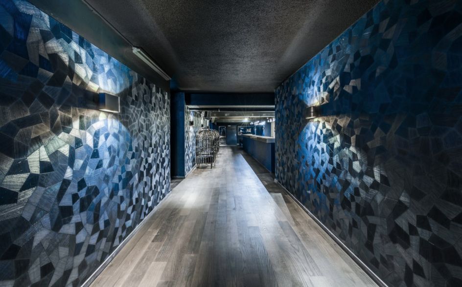 Wallcovering-for-clubs-and-discotheques