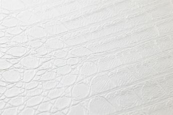 Papier peint Gavial blanc