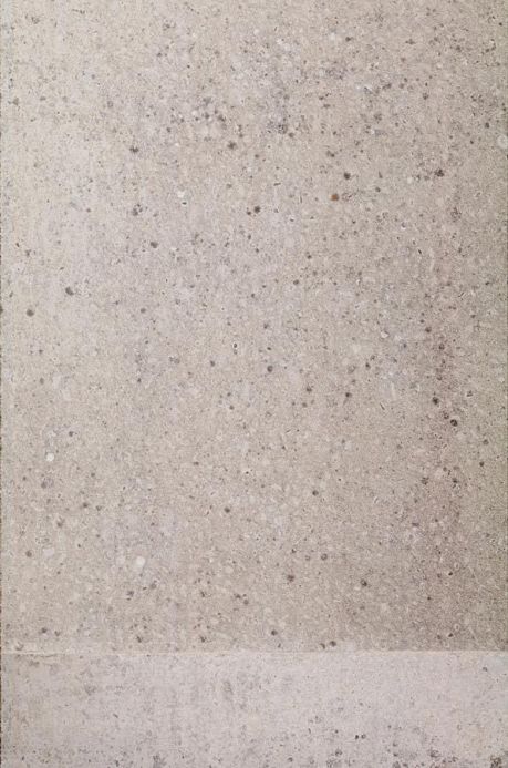 Stone Wallpaper Wallpaper Concrete 05 light grey Roll Width