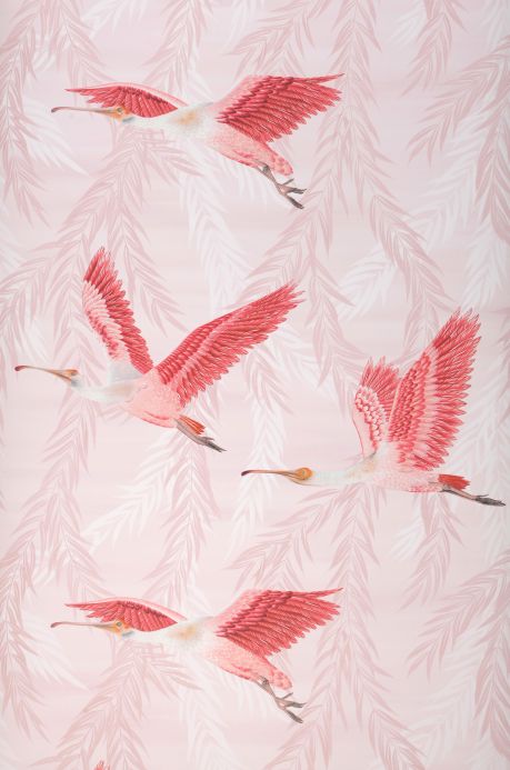 Bird Wallpaper Wallpaper Anette shades of pink Roll Width