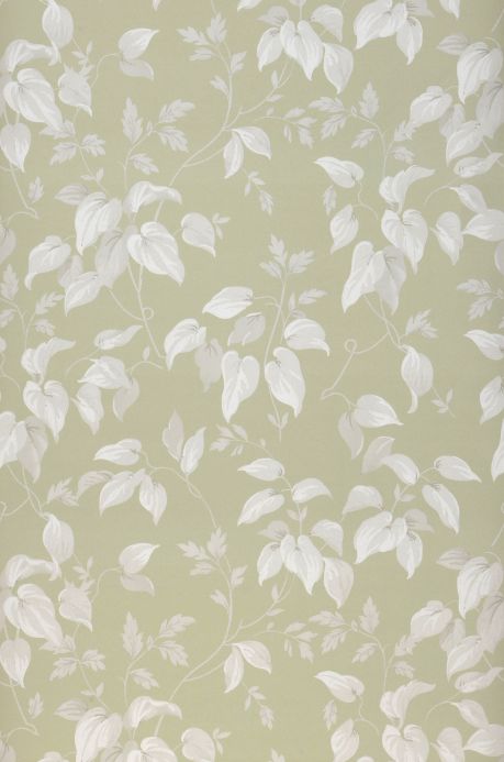 Papel de parede folhas e frondes Papel de parede Inaya verde pálido Largura do rolo
