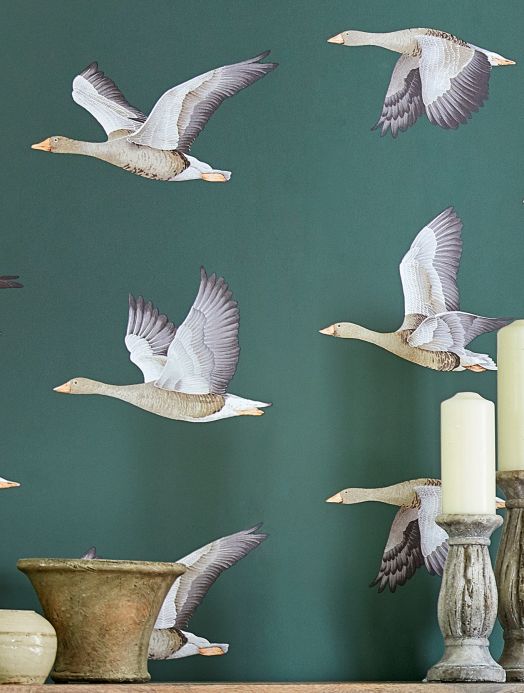 Bird Wallpaper Wallpaper Chloe pine green Room View