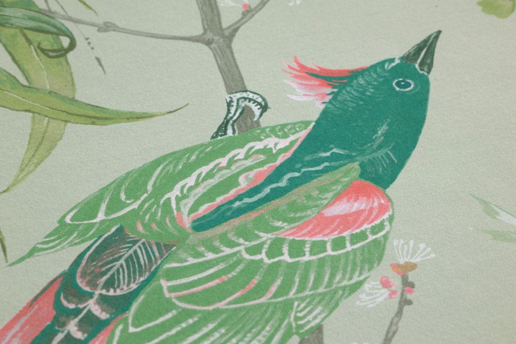 Carta da parati con uccelli Carta da parati Motley Birds verde chiaro Visuale dettaglio