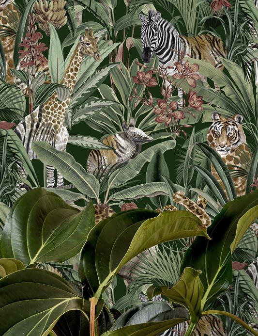 Animal Wallpaper Wallpaper Kanajawa fir tree green Room View
