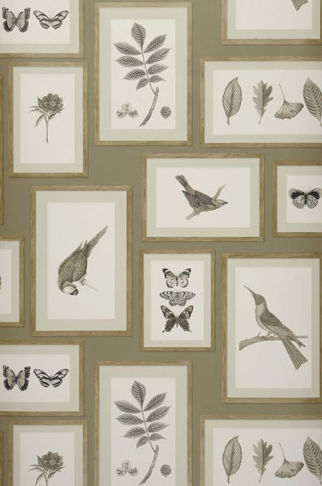 Bird Wallpaper Wallpaper Jara olive grey Roll Width