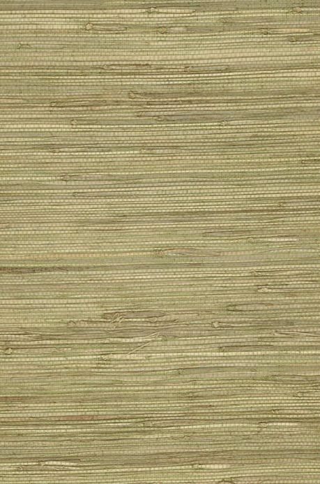 Paper-based Wallpaper Wallpaper Grasscloth 01 pale green A4 Detail