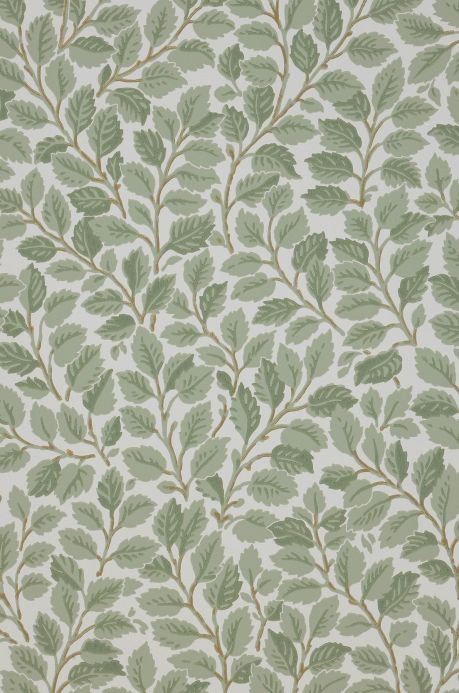 Leaf and Foliage Wallpaper Wallpaper Malva pale green A4 Detail