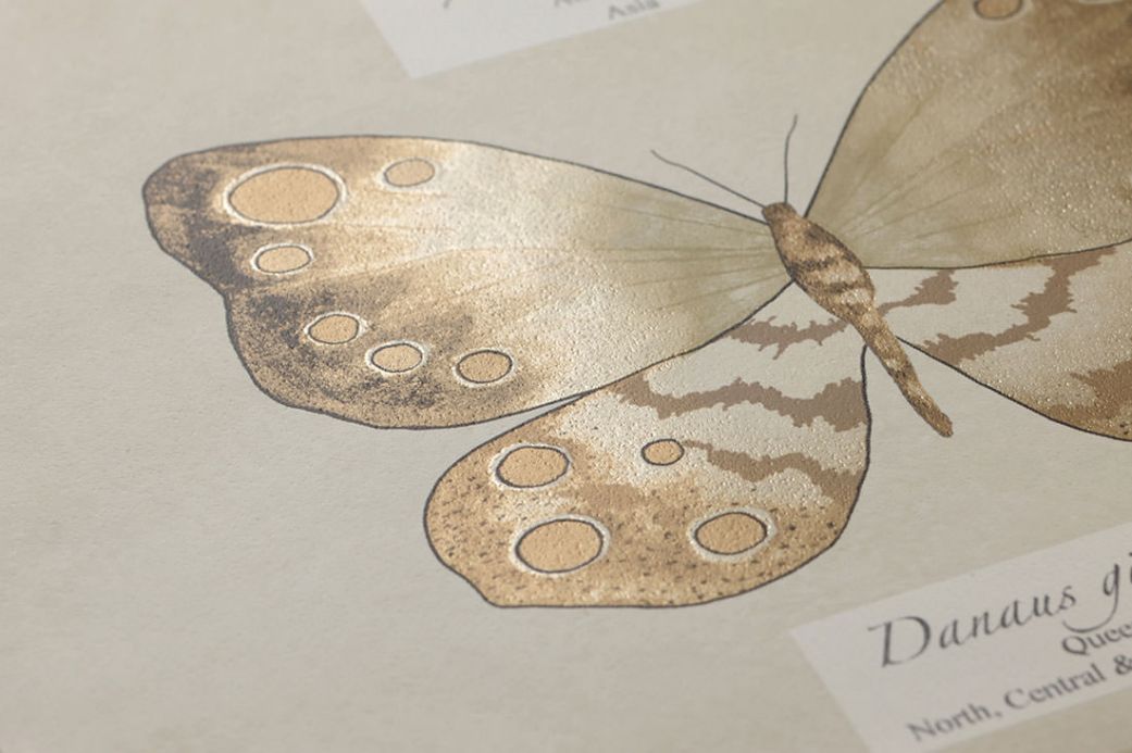 Archiv Carta da parati Farfalla marrone beige chiaro Visuale dettaglio