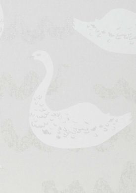 Swan Rain Dance branco acinzentado Amostra