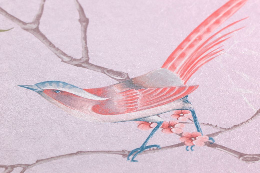 Bird Wallpaper Wallpaper Comtesse pale pink Detail View
