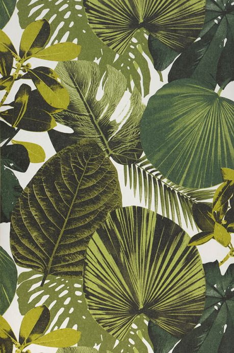 Botanical Wallpaper Wallpaper Venaria fern green Roll Width