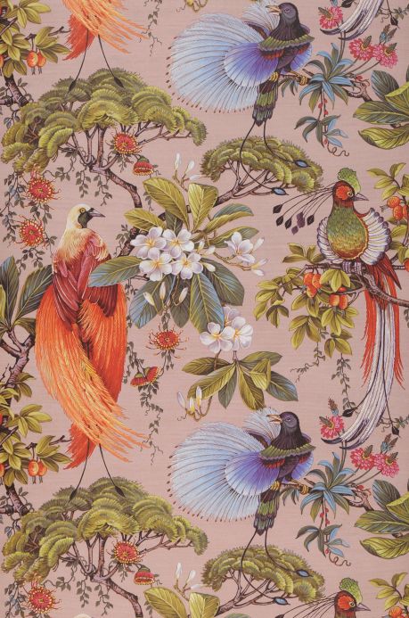 Bird Wallpaper Wallpaper Limosa light pink Roll Width