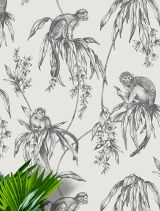 Monkey Wallpaper