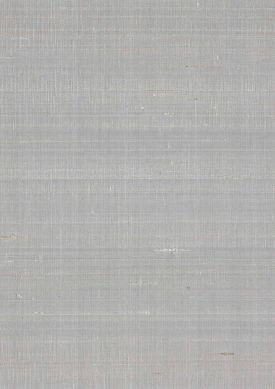 Natural Silk 03 gris argent L’échantillon