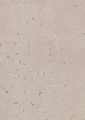 Concrete 01 gris brun pâle L’échantillon