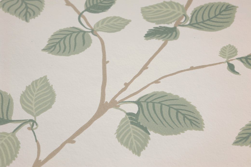 Leaf and Foliage Wallpaper Wallpaper Bokskog pale pine green Detail View