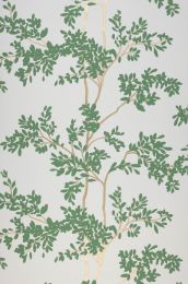 Wallpaper Olympia reseda-green