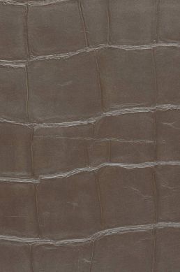 Wallpaper Croco 07 brown grey A4 Detail
