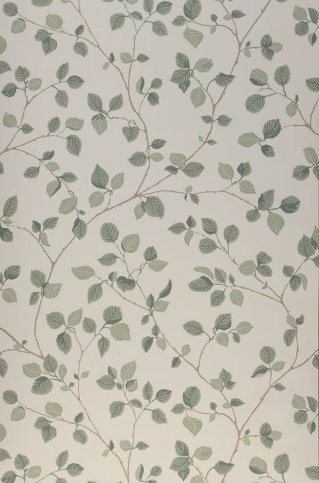Papel de parede folhas e frondes Papel de parede Bokskog verde pinho pálido Largura do rolo