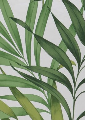 Paradiso fern green Sample