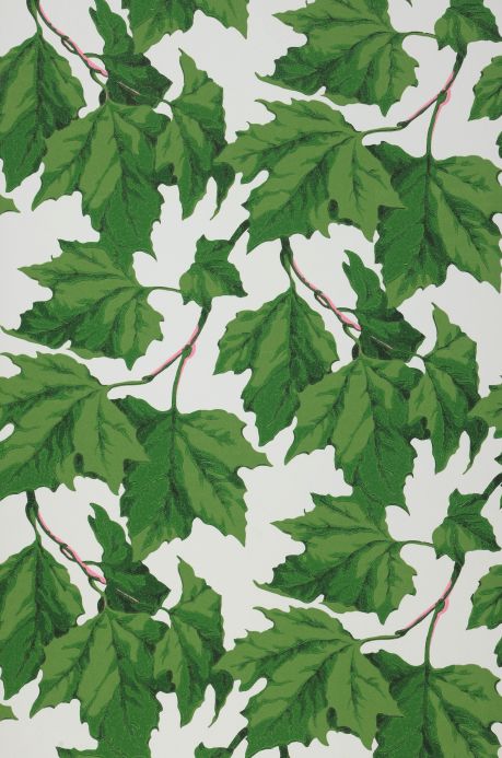 Papel pintado de hojas y follaje Papel pintado Vivica verde hoja Ancho rollo