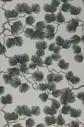 Papel de parede Pine verde árvore de abeto