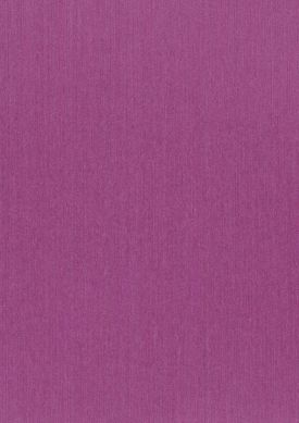 Warp Beauty 03 Violett Muster
