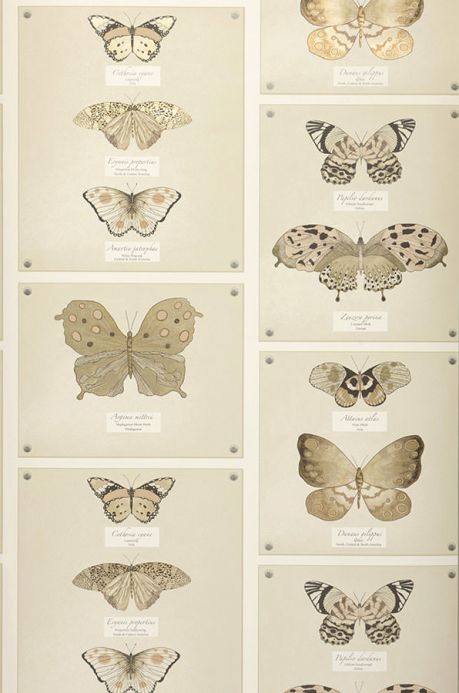 Archiv Papier peint Farfalla brun beige clair Largeur de lé