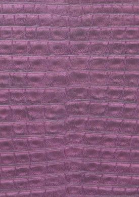 Gavial violeta rojizo Muestra