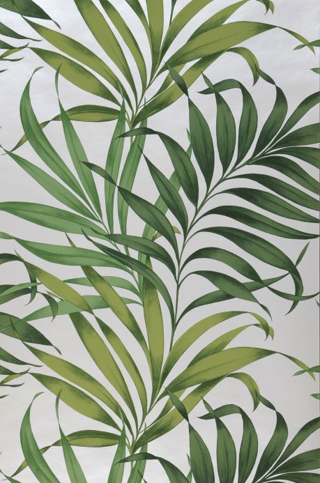 Papel de parede botânico Papel de parede Paradiso verde samambaia Largura do rolo